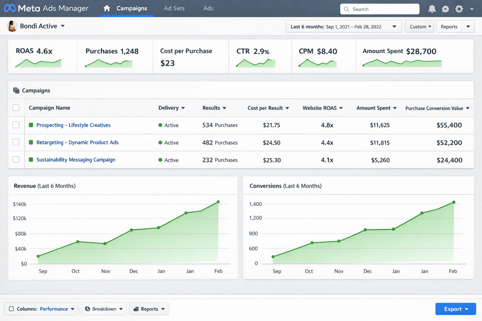 Bondi Active Facebook Ads Dashboard Results